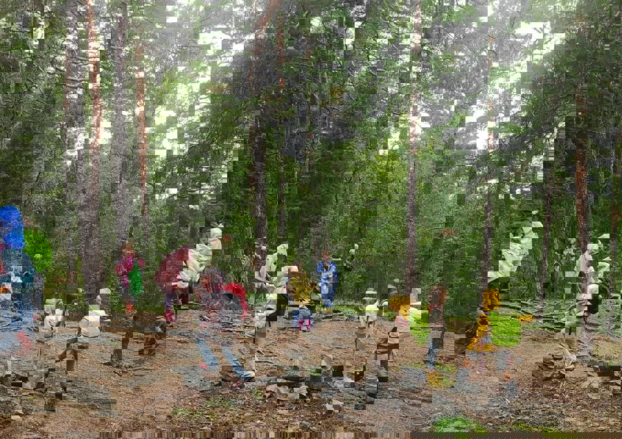 Barn i regntøy. Blåbærtur i skogen. Østmarka.