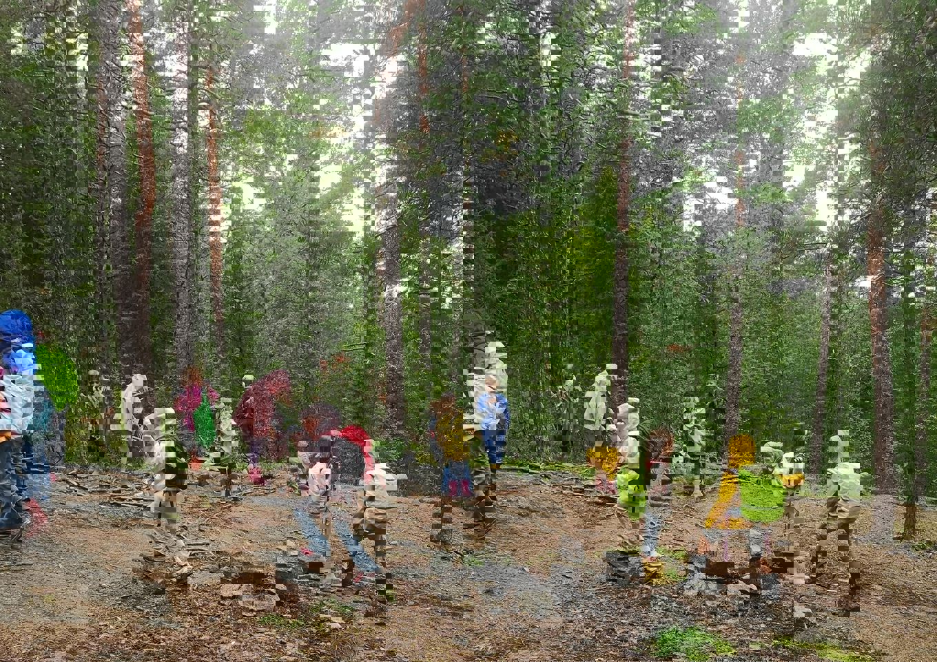 Foto: Abdifatah Dahir Haji Hassan Barn i regntøy. Blåbærtur i skogen. Østmarka.