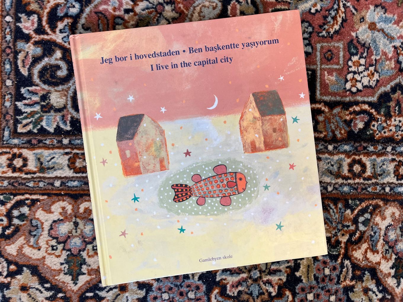 Foto: Geir Johansen Bokomslag: Jeg bor i hovedstaden. Gamlebyen skole 2003.