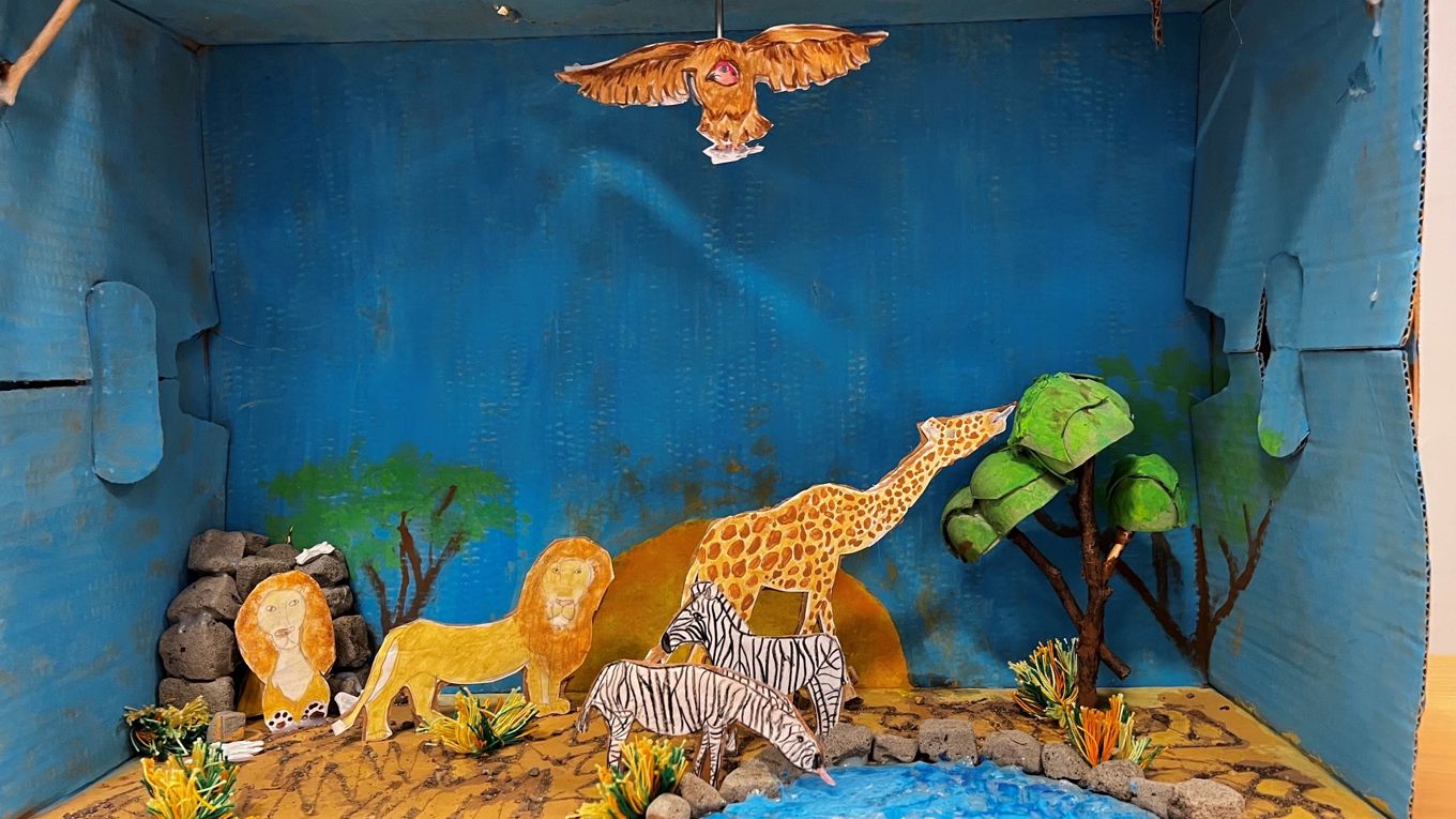 KartEt diorama lagd i en pappeske. Dioramaet viser livet ved et vannhull i Afrika. Her er planter, sebra, sjiraff, løver og en gribb som svever over de andre dyra.