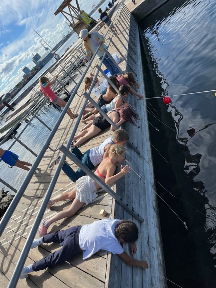 Elever ligger på brygga og fisker etter krabber.