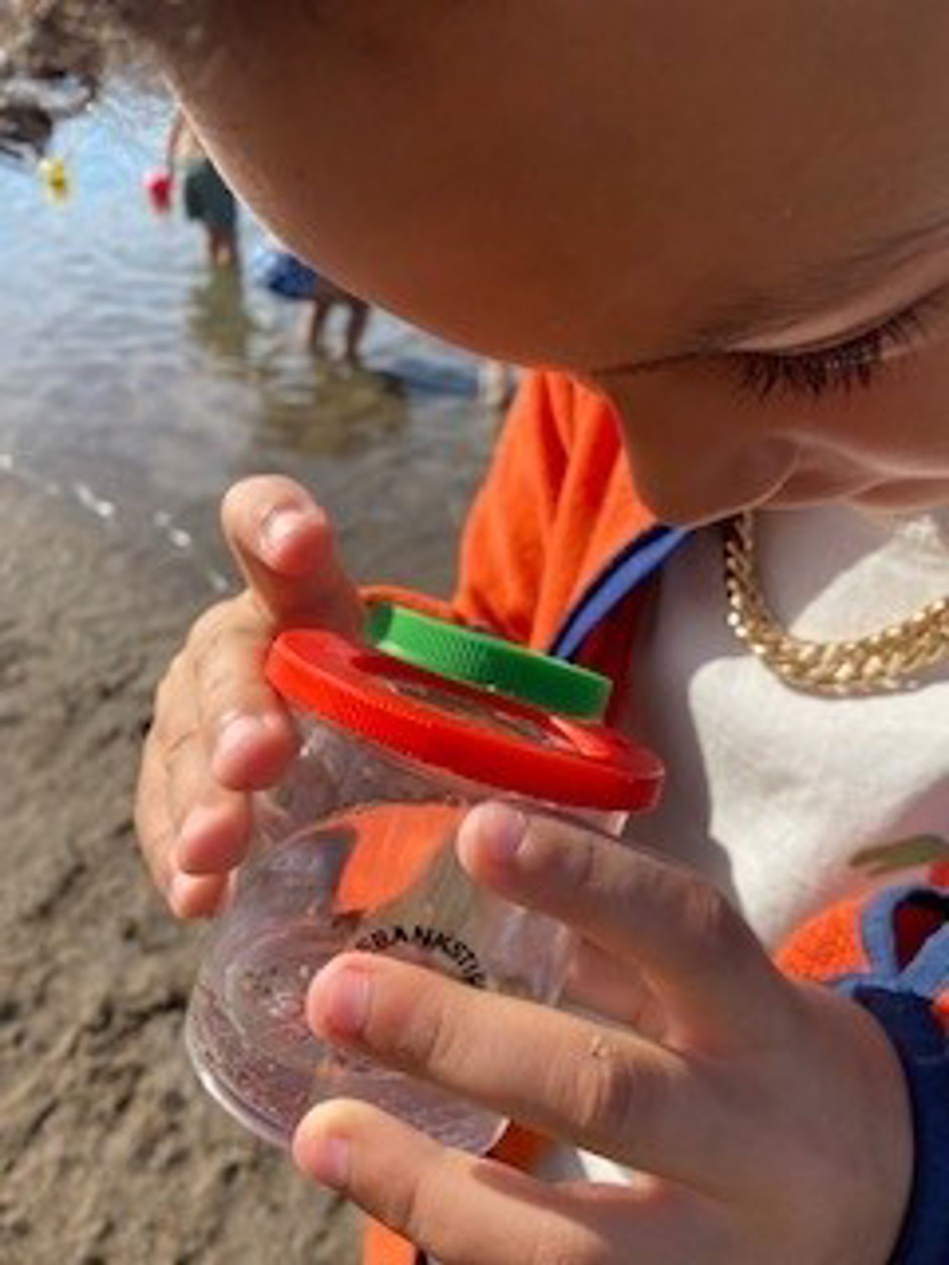 Elev gransker småkryp i en boks.