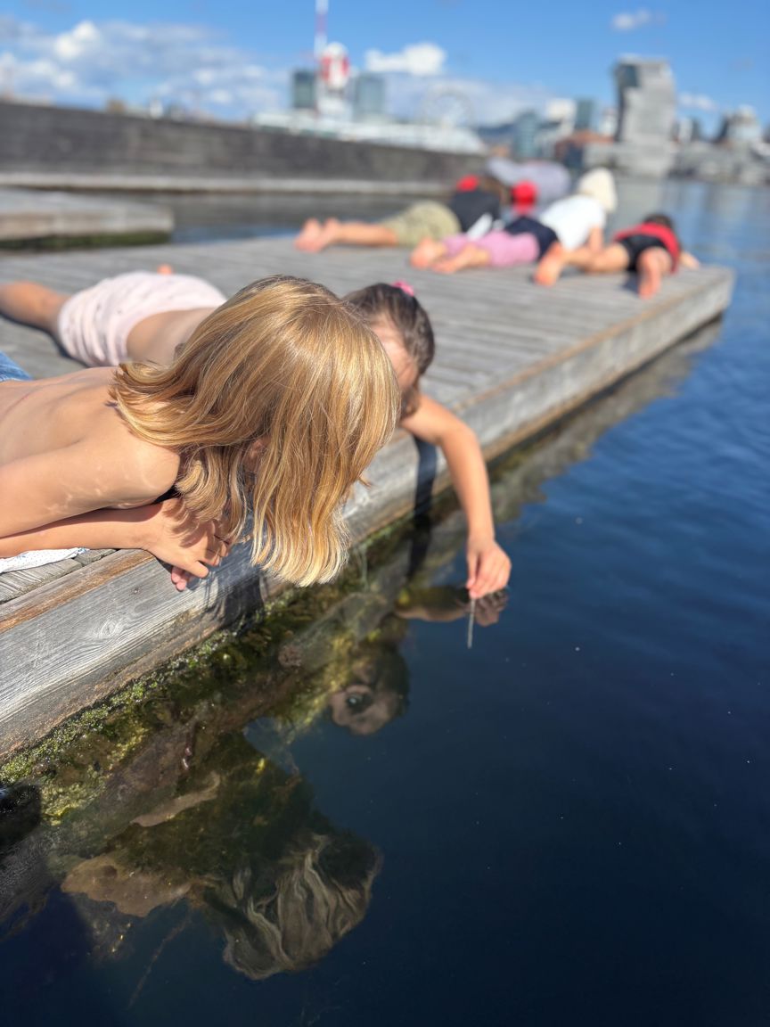 Elever ligger på ei flytebrygge. En av d em strekker en arm ned i vannet.