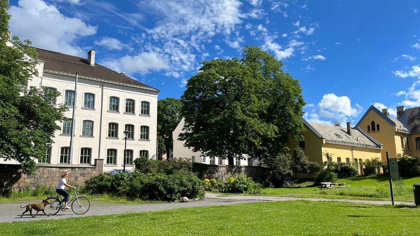 Gamlebyen skole og Bispegården sett fra parken. Syklist og hund. Sommer.